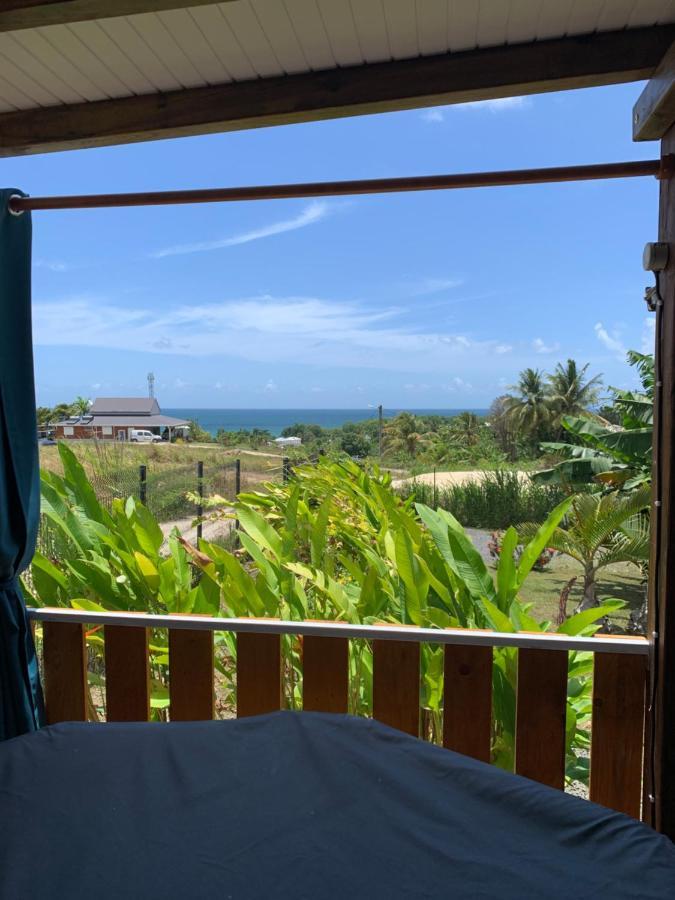 Gite Face A La Mer Des Caraibes Sainte-Rose Kültér fotó